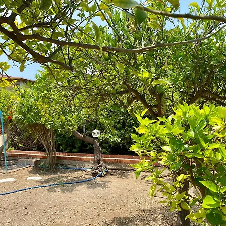 Viviholiday Tatil Evi *